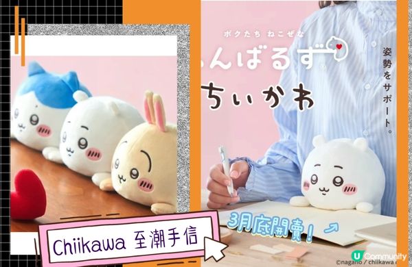 至潮Chiikawa日本手信❤️‍🔥治癒系伴讀生🥰