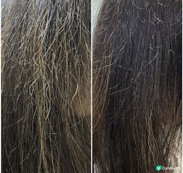 改善脫髮由頭皮開始 ~ Nourwish® by Herbs'Oil