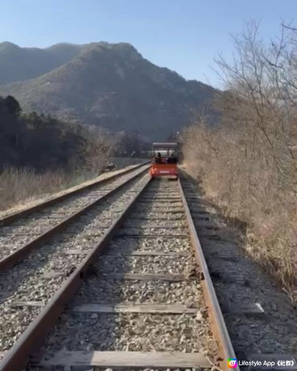 【 草泥馬牧場+南怡島+江村鐵路一天遊 】