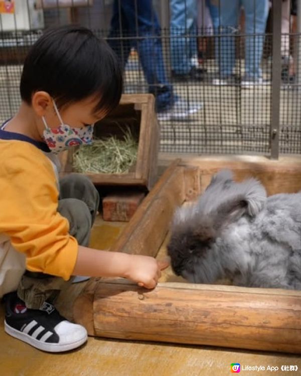 【 近距離親親小動物。神戶動物王國 】