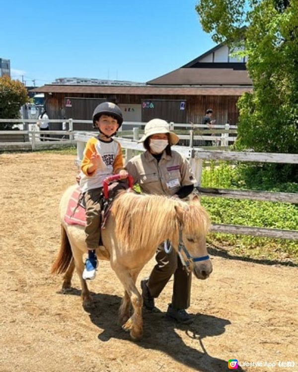 【 近距離親親小動物。神戶動物王國 】