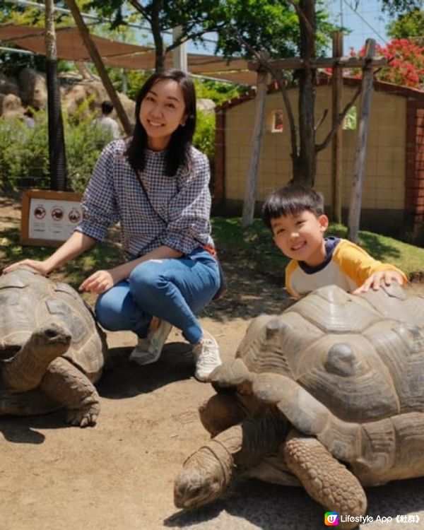 【 近距離親親小動物。神戶動物王國 】