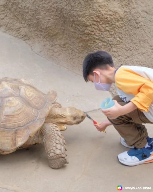 【 近距離親親小動物。神戶動物王國 】