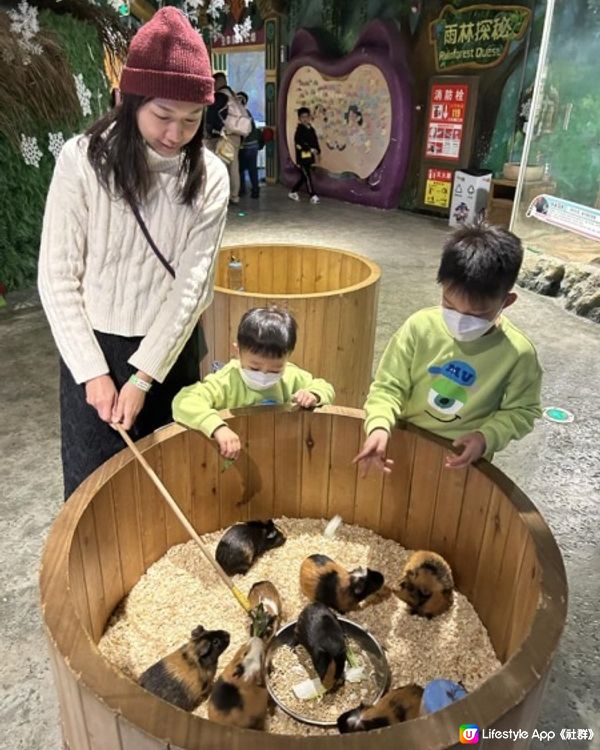 【 集玩樂動物園卡丁車的室內綜合樂園 】