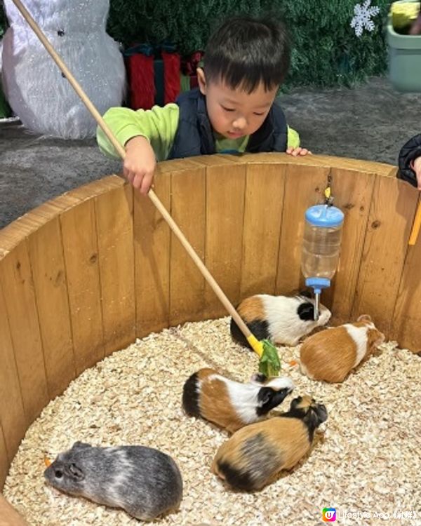 【 集玩樂動物園卡丁車的室內綜合樂園 】