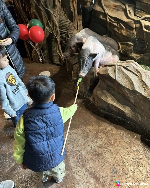 【 集玩樂動物園卡丁車的室內綜合樂園 】