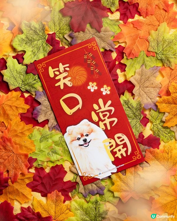 寵物馬年催財秘笈！🐶💰