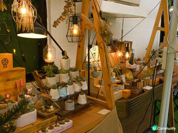 上水隱世Cafe 一同探索生命可能性 