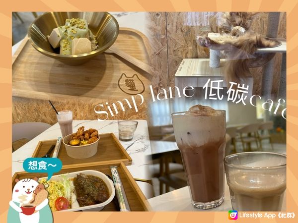 有生酮餐有貓玩既cafe