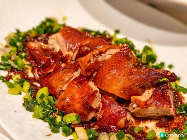 價錢親民 🍲 新派浙江菜