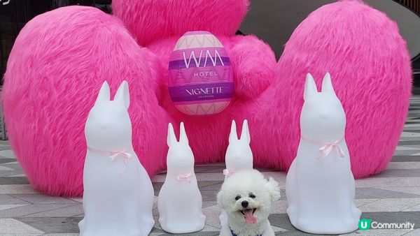 Lumi is a cuddly ball of fluff...