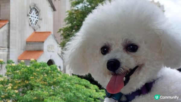 Lumi is a cuddly ball of fluff...