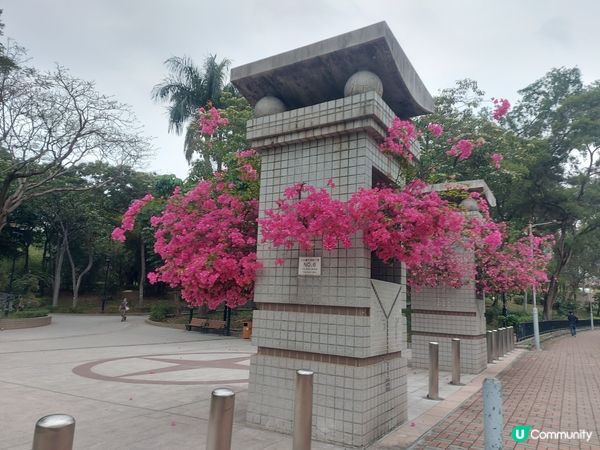 花香園林，動靜皆宜