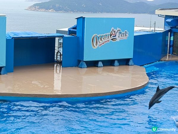 海洋公園太好了！要去很多次不會累,只會發現更多新的景點！希望...