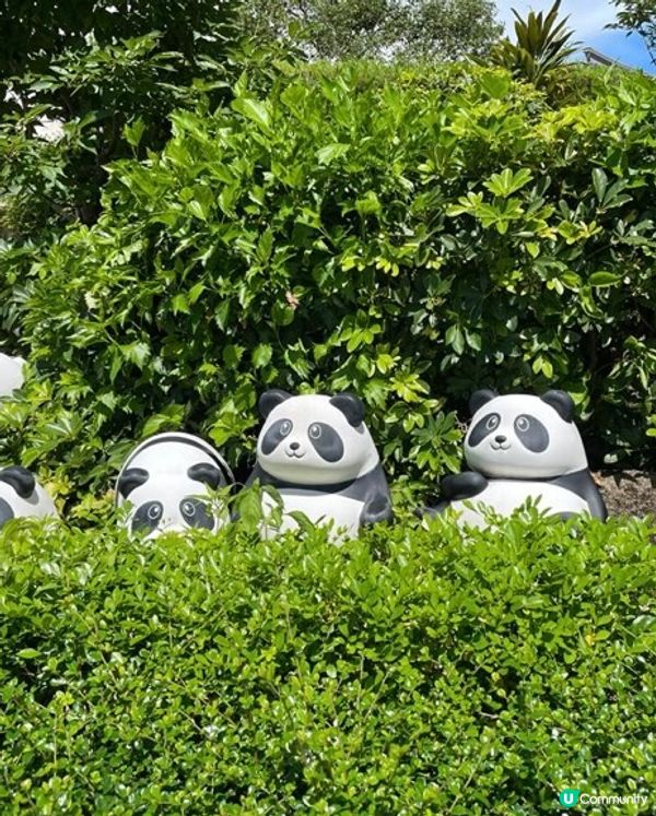 海洋公野園有咩做