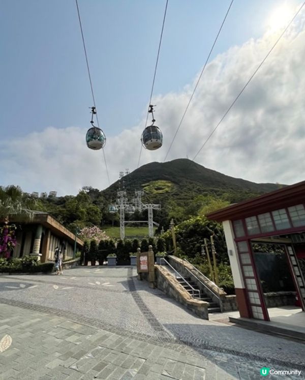 海洋公野園有咩做