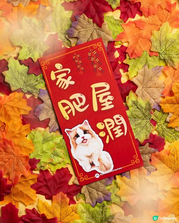 布偶貓 馬年催財秘笈！🐱💰