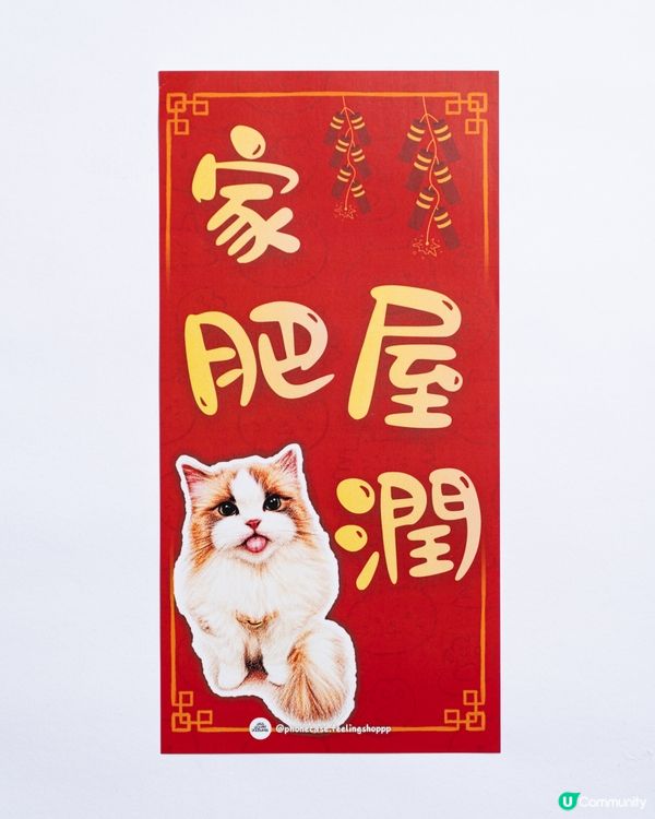 布偶貓 馬年催財秘笈！🐱💰