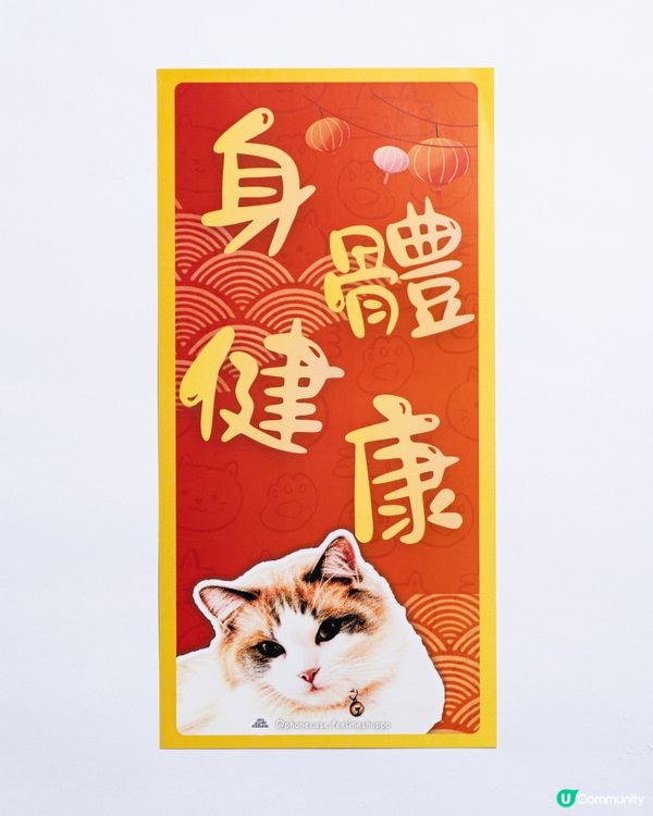 布偶貓 馬年催財秘笈！🐱💰