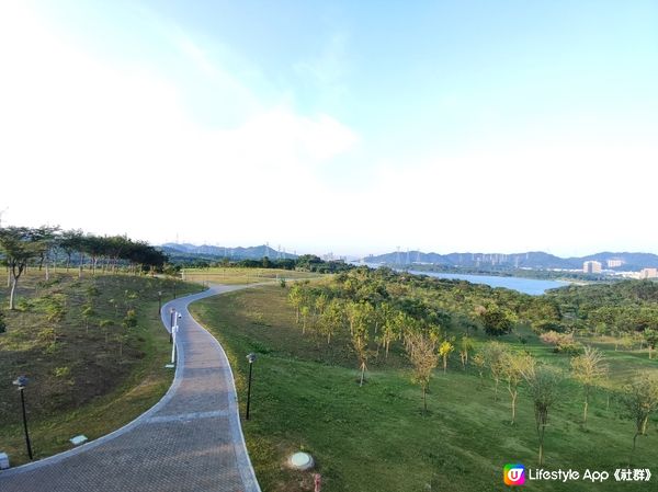 賞草嘅時節@深圳陌上花公園