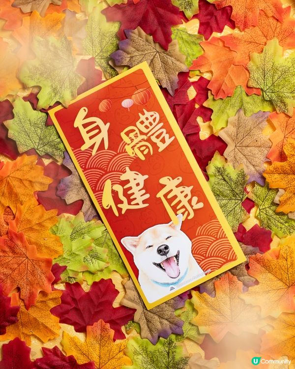 寵物揮春，新年新驚喜！🐶🧧