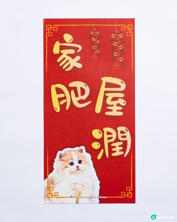 英國長毛貓㊗️你馬年家肥屋潤､出入平安‼️