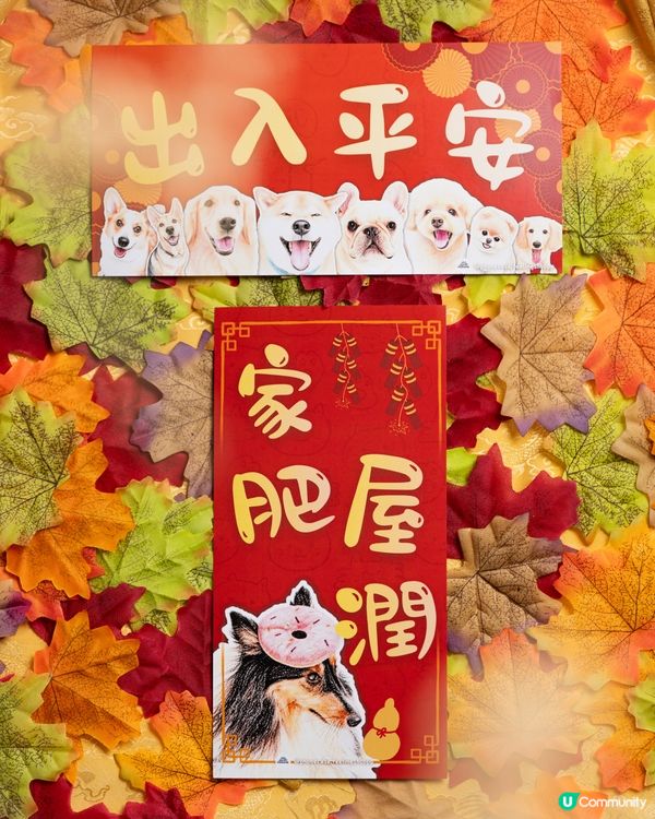 迷你牧羊犬㊗️你馬年家肥屋潤､笑口常開､出入平安‼️