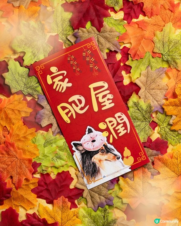 迷你牧羊犬㊗️你馬年家肥屋潤､笑口常開､出入平安‼️