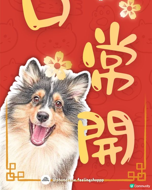 迷你牧羊犬㊗️你馬年家肥屋潤､笑口常開､出入平安‼️