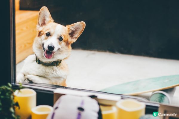 瞓低嗰陣成個身仔放鬆到唔識動，好舒服！#主子SPATime