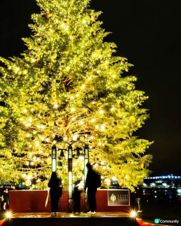 市集行兼聖誕樹燈飾🫰🏻