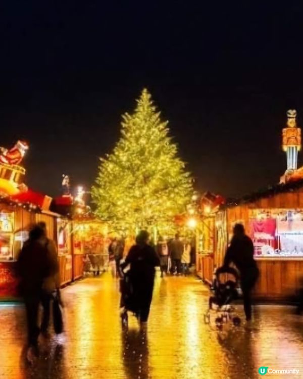 市集行兼聖誕樹燈飾🫰🏻