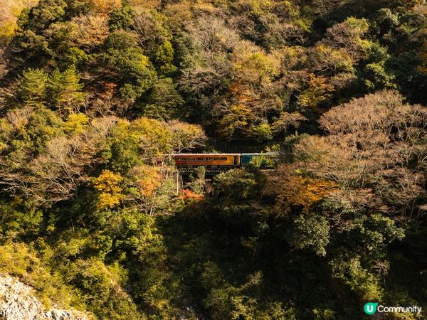 四國川流秘景觀光列車