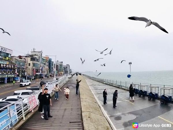 出發睇有燈塔/海鷗/泥灘的首爾