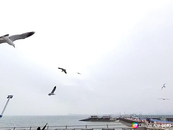 出發睇有燈塔/海鷗/泥灘的首爾