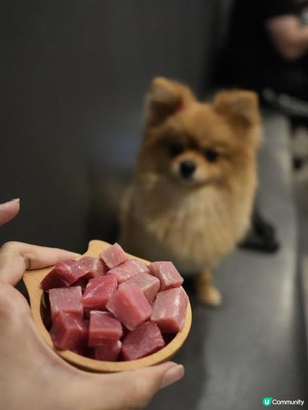 麻辣鍋推薦