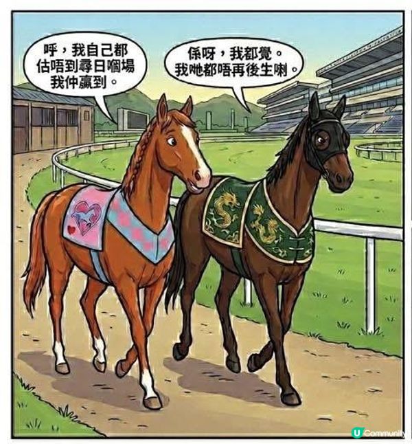 老馬