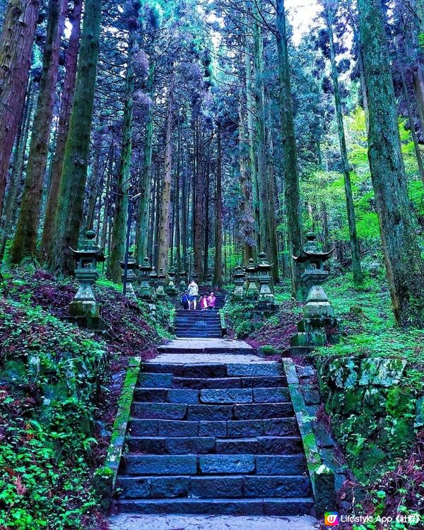 『萤火の森 上色見熊野座神社』 
【微雨中更顯神秘】