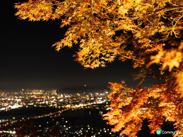 高松最美夜景 - 屋島全新展望台