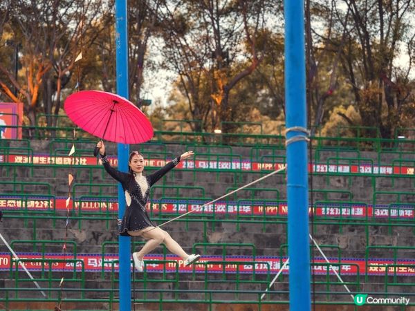 親子好去處🌸觀瀾湖一日遊！玩轉生態運動公社🎡🎢