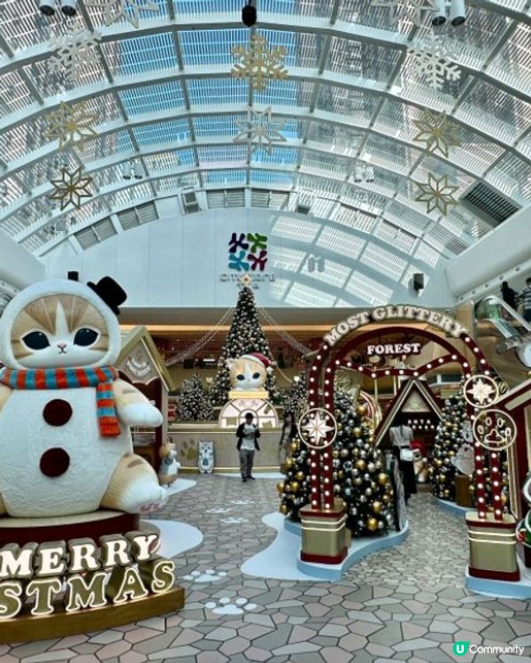 貓迷必去2025聖誕打卡熱點