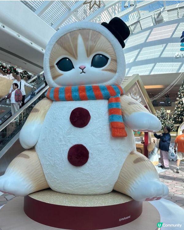 貓迷必去2025聖誕打卡熱點