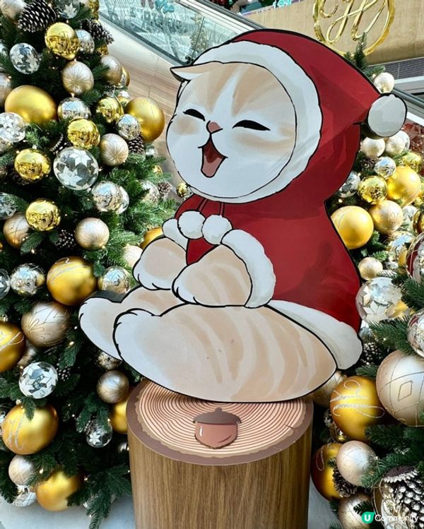 貓迷必去2025聖誕打卡熱點