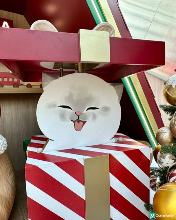 貓迷必去2025聖誕打卡熱點