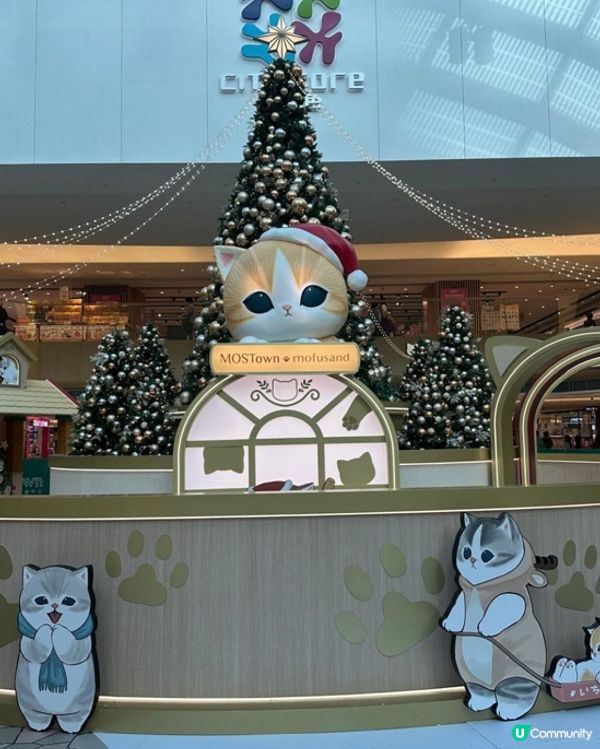 貓迷必去2025聖誕打卡熱點