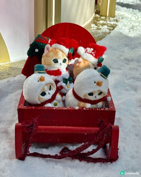 貓迷必去2025聖誕打卡熱點