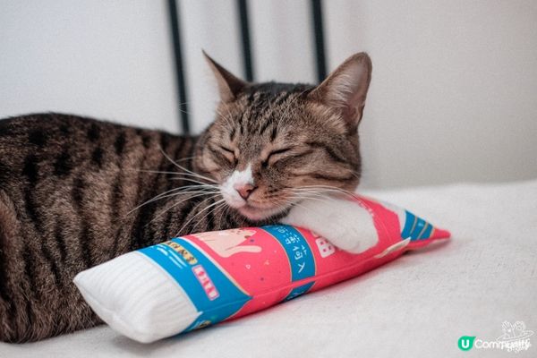 Milkmilk太醜 俾個靚女大家洗吓眼先～