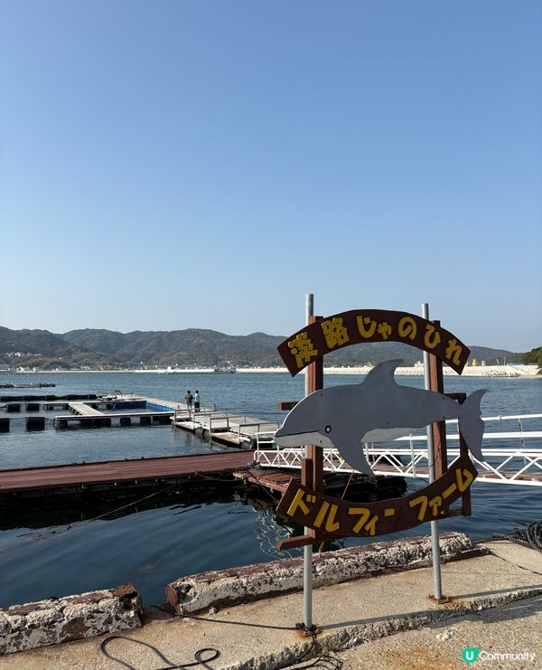 淡路島隱藏版玩法!和海豚0距離接觸,CP值超高