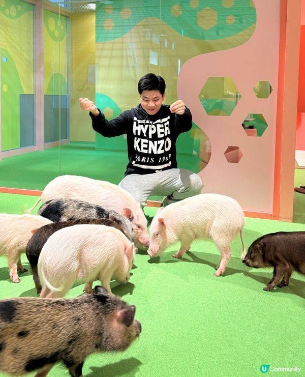 沖繩親子必收藏，DMM互動型水族館，室內爽玩大半天