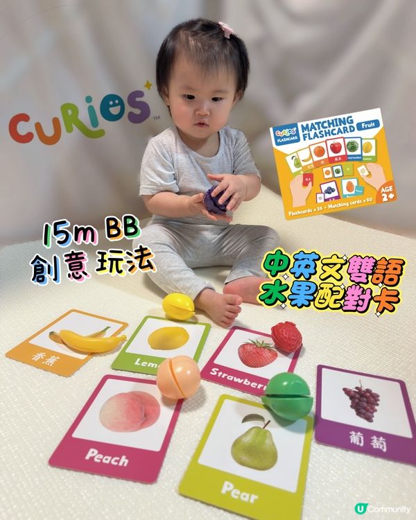 好奇心媽媽書展新品！水果配對卡🍎👶🏻